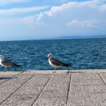 Izola Isola Slowenien Hafenstadt an der Adria am Meer #izolaview #visitizola #visitslovenia #ifeelsLOVEnia Istrien Eine malerische Hafenstadt an der Adriaküste