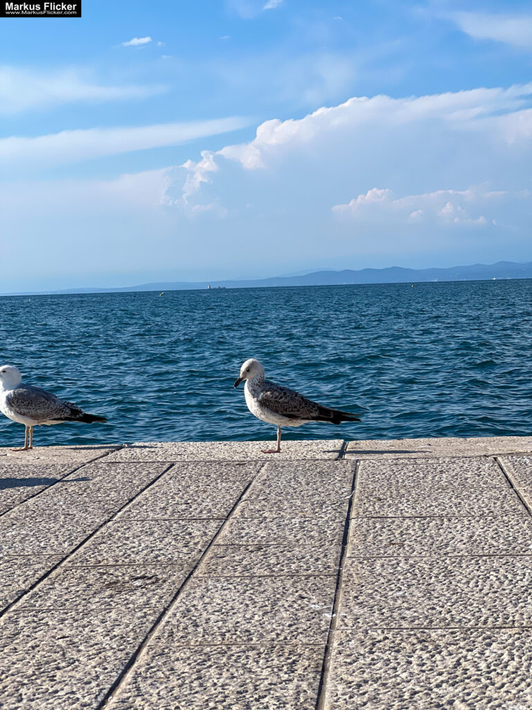 Izola Isola Slowenien Hafenstadt an der Adria am Meer #izolaview #visitizola #visitslovenia #ifeelsLOVEnia Istrien Eine malerische Hafenstadt an der Adriaküste