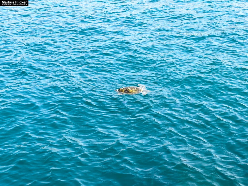 Izola Isola Slowenien Hafenstadt an der Adria am Meer #izolaview #visitizola #visitslovenia #ifeelsLOVEnia Istrien Eine malerische Hafenstadt an der Adriaküste