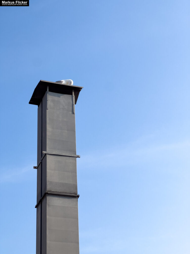 Izola Isola Slowenien Hafenstadt an der Adria am Meer #izolaview #visitizola #visitslovenia #ifeelsLOVEnia Istrien Eine malerische Hafenstadt an der Adriaküste