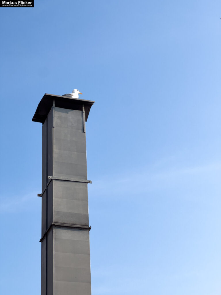 Izola Isola Slowenien Hafenstadt an der Adria am Meer #izolaview #visitizola #visitslovenia #ifeelsLOVEnia Istrien Eine malerische Hafenstadt an der Adriaküste