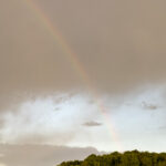 Fotografieren und Filmen bei Regen mit Kamera und Smartphone #smartphonephotography Fotografieren und Filmen mit dem Smartphone: Bessere Fotos und Videos mit dem Handy für Freizeit, Hobby und Business