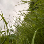 Fotografieren und Filmen bei Regen mit Kamera und Smartphone #smartphonephotography Fotografieren und Filmen mit dem Smartphone: Bessere Fotos und Videos mit dem Handy für Freizeit, Hobby und Business