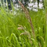 Fotografieren und Filmen bei Regen mit Kamera und Smartphone #smartphonephotography Fotografieren und Filmen mit dem Smartphone: Bessere Fotos und Videos mit dem Handy für Freizeit, Hobby und Business