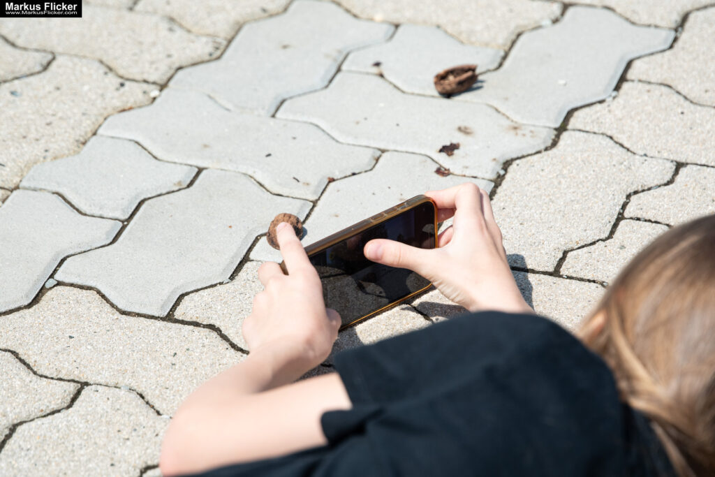 Fotografieren und Filmen mit Kindern und Jugendlichen mit dem Handy. Spielerisch die Natur erkunden und kreativ gestalten mit dem Smartphone.