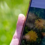 Fotografieren und Filmen mit Kindern und Jugendlichen mit dem Handy. Spielerisch die Natur erkunden und kreativ gestalten mit dem Smartphone.