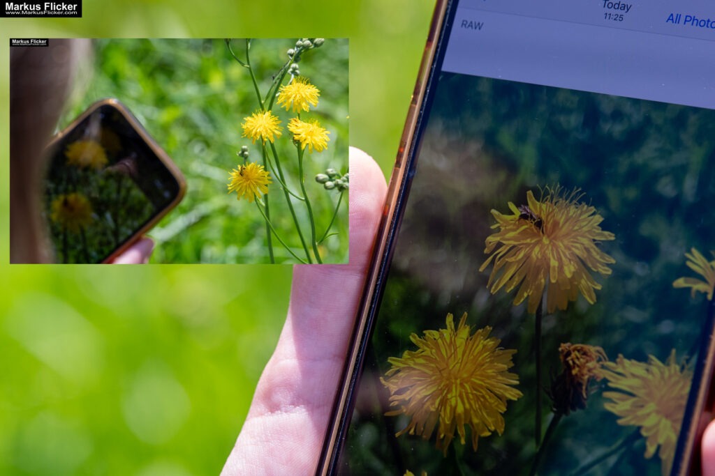Fotografieren und Filmen mit Kindern und Jugendlichen mit dem Handy. Spielerisch die Natur erkunden und kreativ gestalten mit dem Smartphone.