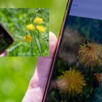 Fotografieren und Filmen mit Kindern und Jugendlichen mit dem Handy. Spielerisch die Natur erkunden und kreativ gestalten mit dem Smartphone.