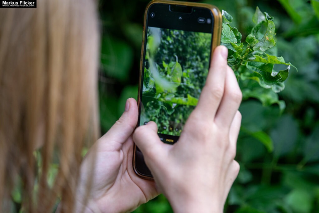 Fotografieren und Filmen mit Kindern und Jugendlichen mit dem Handy. Spielerisch die Natur erkunden und kreativ gestalten mit dem Smartphone.