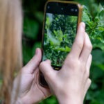 Fotografieren und Filmen mit Kindern und Jugendlichen mit dem Handy. Spielerisch die Natur erkunden und kreativ gestalten mit dem Smartphone.