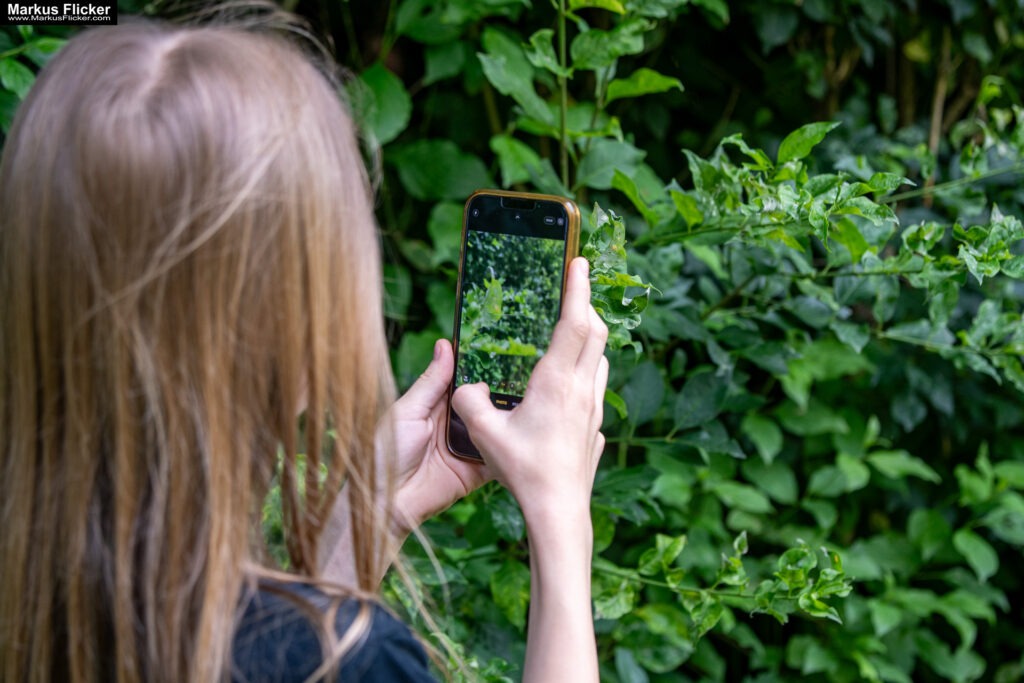 Fotografieren und Filmen mit Kindern und Jugendlichen mit dem Handy. Spielerisch die Natur erkunden und kreativ gestalten mit dem Smartphone.