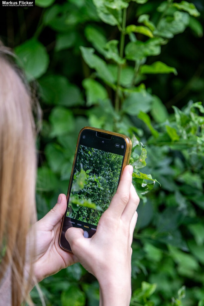 Fotografieren und Filmen mit Kindern und Jugendlichen mit dem Handy. Spielerisch die Natur erkunden und kreativ gestalten mit dem Smartphone.