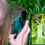 Fotografieren und Filmen mit Kindern und Jugendlichen mit dem Handy. Spielerisch die Natur erkunden und kreativ gestalten mit dem Smartphone.