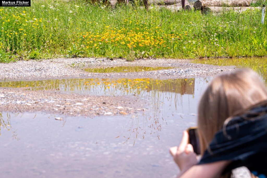 Fotografieren und Filmen mit Kindern und Jugendlichen mit dem Handy. Spielerisch die Natur erkunden und kreativ gestalten mit dem Smartphone.