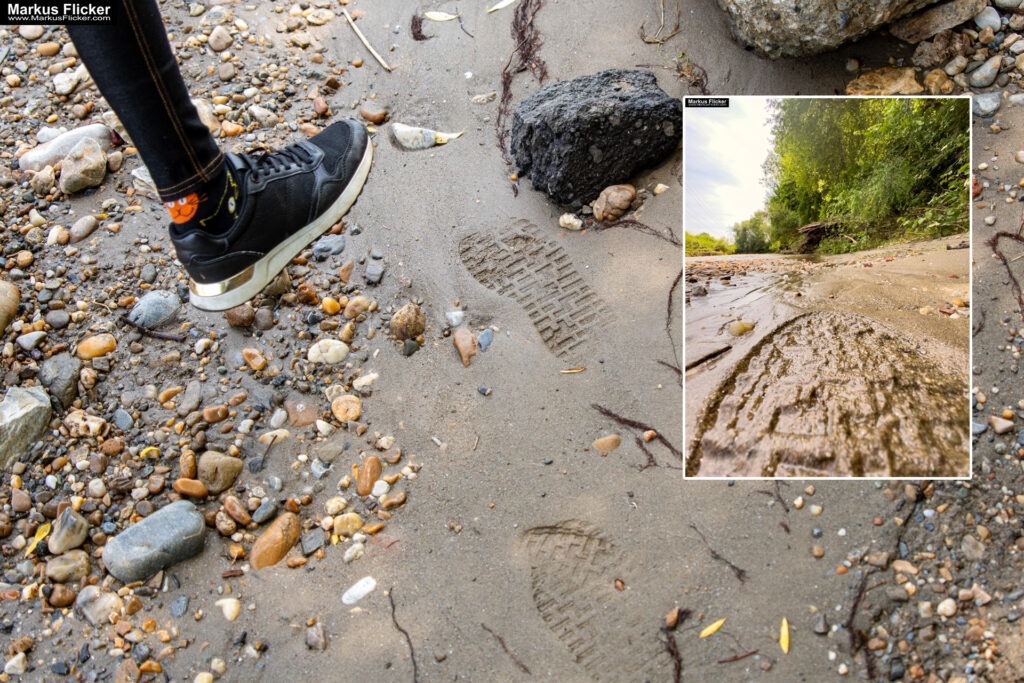 Fotografieren und Filmen mit Kindern und Jugendlichen mit dem Handy. Spielerisch die Natur erkunden und kreativ gestalten mit dem Smartphone.