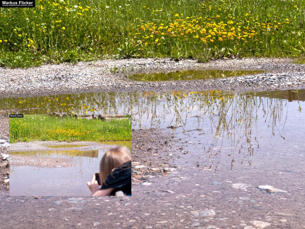 Fotografieren und Filmen mit Kindern und Jugendlichen mit dem Handy. Spielerisch die Natur erkunden und kreativ gestalten mit dem Smartphone.