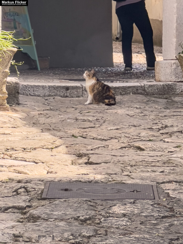 Župa Mošćenice Primorje-Gorski Kotar Kroatien Istrien. Roadtrip in Europa. Reisen mit dem Auto innerhalb der EU. Citytrips, Camping, Landschaft, Rundfahrt mit dem PKW, romantische Städte und Urlaubsinspiration