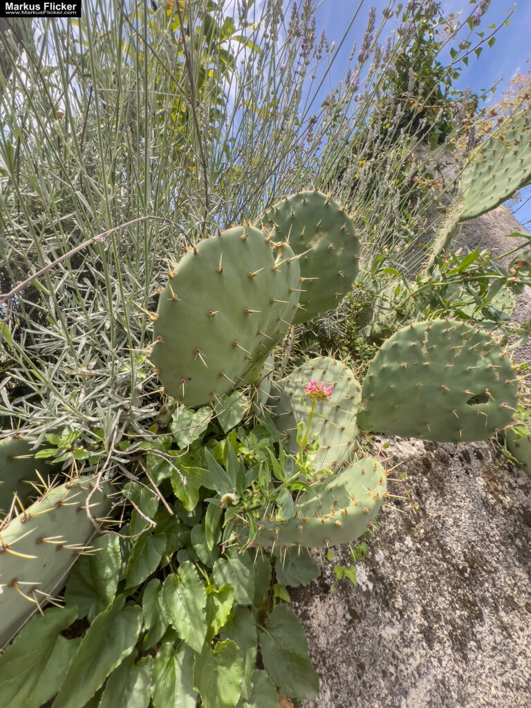 Reisefotografie und Reisevideos mit dem Smartphone. Tipps für deine Erinnerungen auf Reisen. Fotografieren und Filmen mit dem Smartphone: Bessere Fotos und Videos mit dem Handy für Freizeit, Hobby und Business Župa Mošćenice Primorje-Gorski Kotar Kroatien Istrien. Roadtrip in Europa. Reisen mit dem Auto innerhalb der EU. Citytrips, Camping, Landschaft, Rundfahrt mit dem PKW, romantische Städte und Urlaubsinspiration