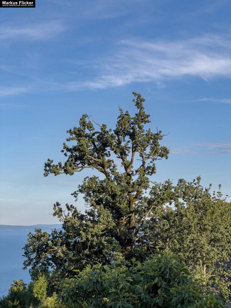 Villa La Mer Lovran Ferienhaus Apartment Kroatien