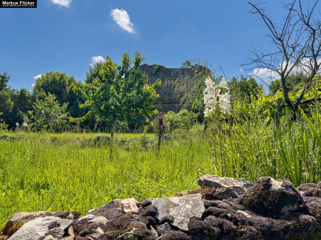 Gračišće Gallignana Kroatien Istrien Roadtrip in Europa. Reisen mit dem Auto innerhalb der EU. Citytrips, Camping, Landschaft, Rundfahrt mit dem PKW, romantische Städte und Urlaubsinspiration Gračišće Gallignana Kroatien Istrien