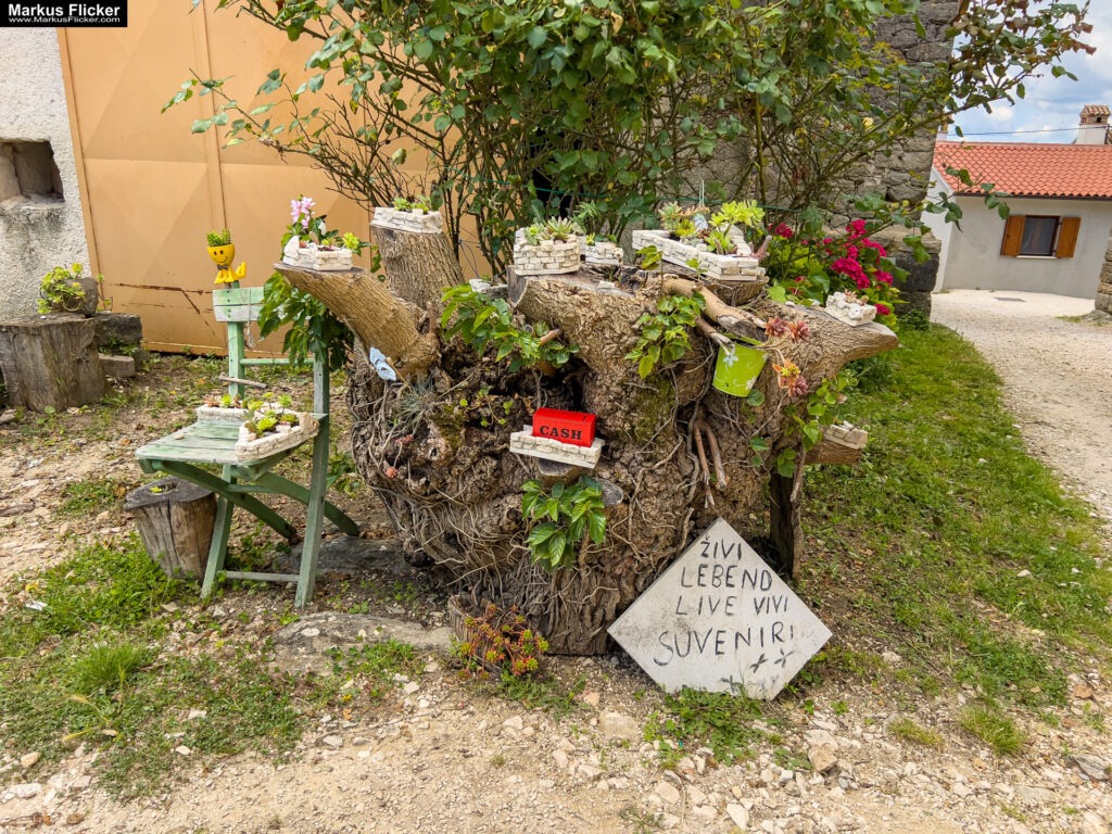 Gračišće Gallignana Kroatien Istrien Roadtrip in Europa. Reisen mit dem Auto innerhalb der EU. Citytrips, Camping, Landschaft, Rundfahrt mit dem PKW, romantische Städte und Urlaubsinspiration Gračišće Gallignana Kroatien Istrien