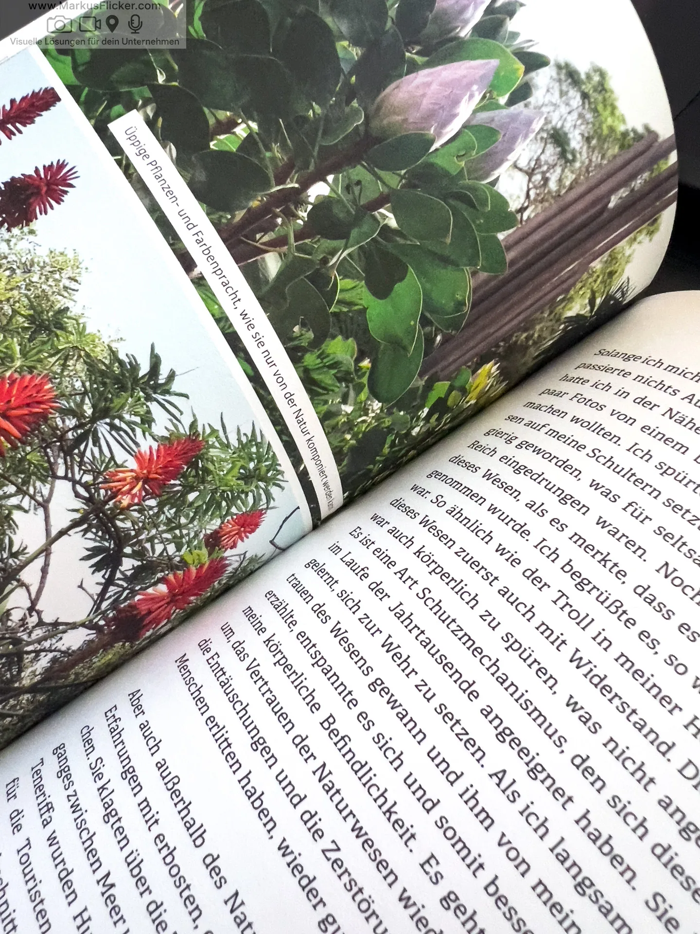 Komm in deine neue Freiheit: durch gelebte Achtsamkeit von Werner Buchberger