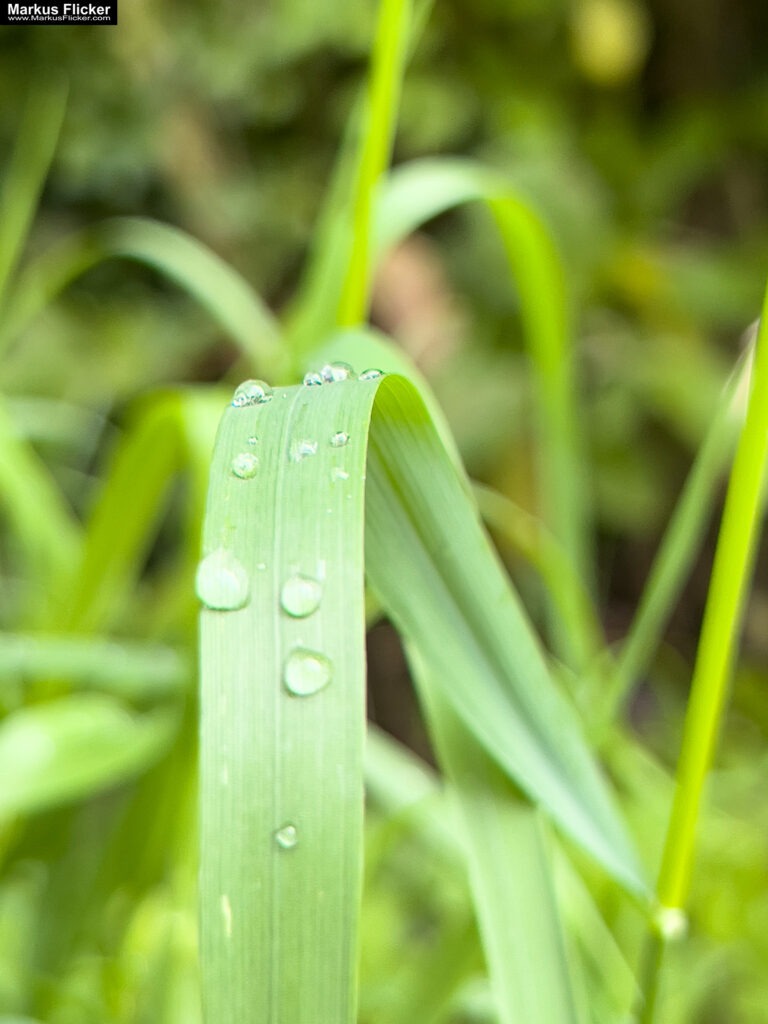 3 Tage Kreativ Comic – Acryl – Skulpturen aus Ytong und Draht – Specksteintiere – Handyfotografie Kinder-Kunstprogramm 2024 Malwerkstatt Martina Brandl Steiermark Österreich