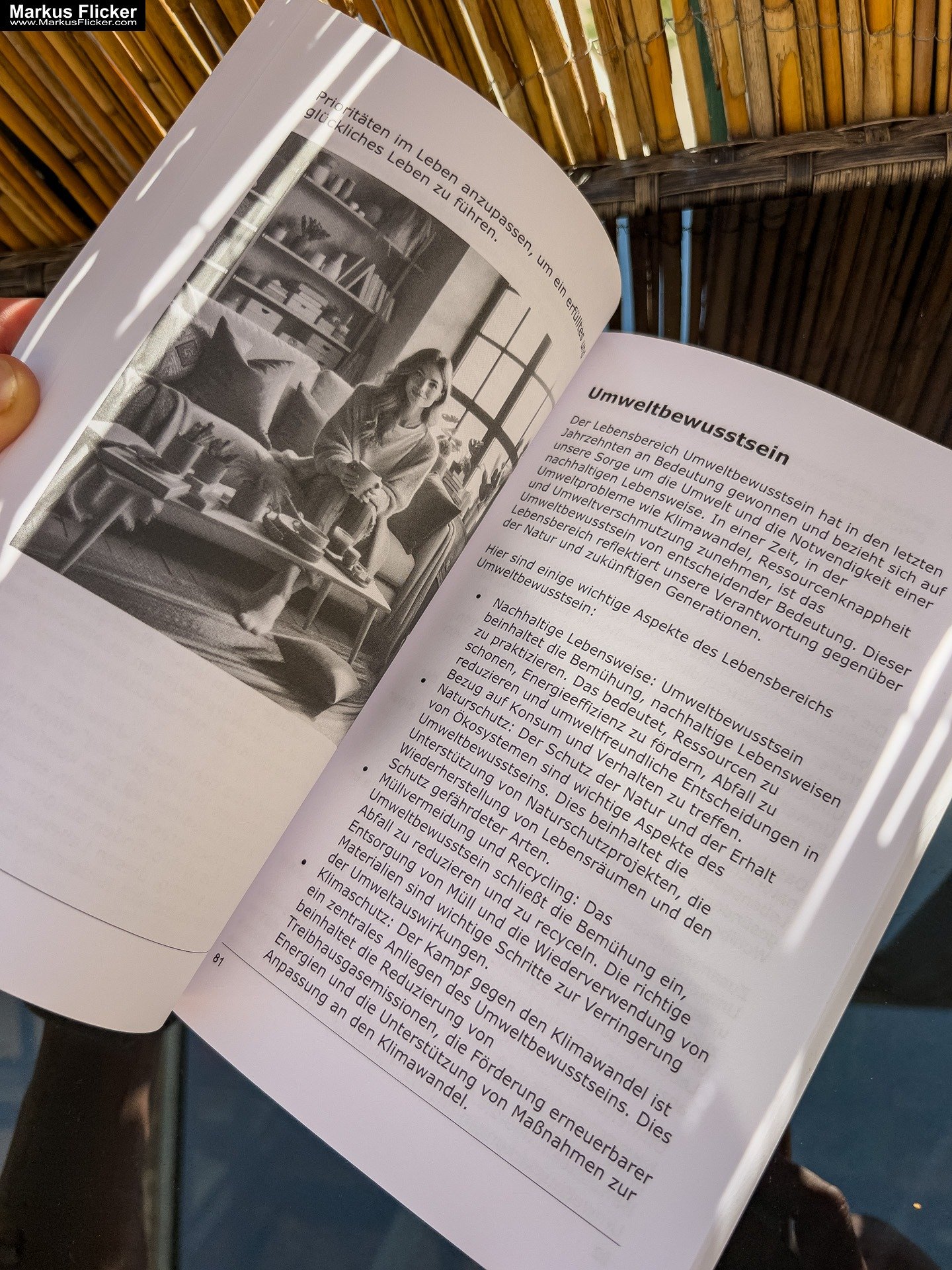 Dein Lebensrad drehen: 12 Schlüsselbereiche für ein Erfülltes Leben: Die 12 Lebensbereiche: Dein Schlüssel zu Glück und Erfolg Buch von Markus Flicker