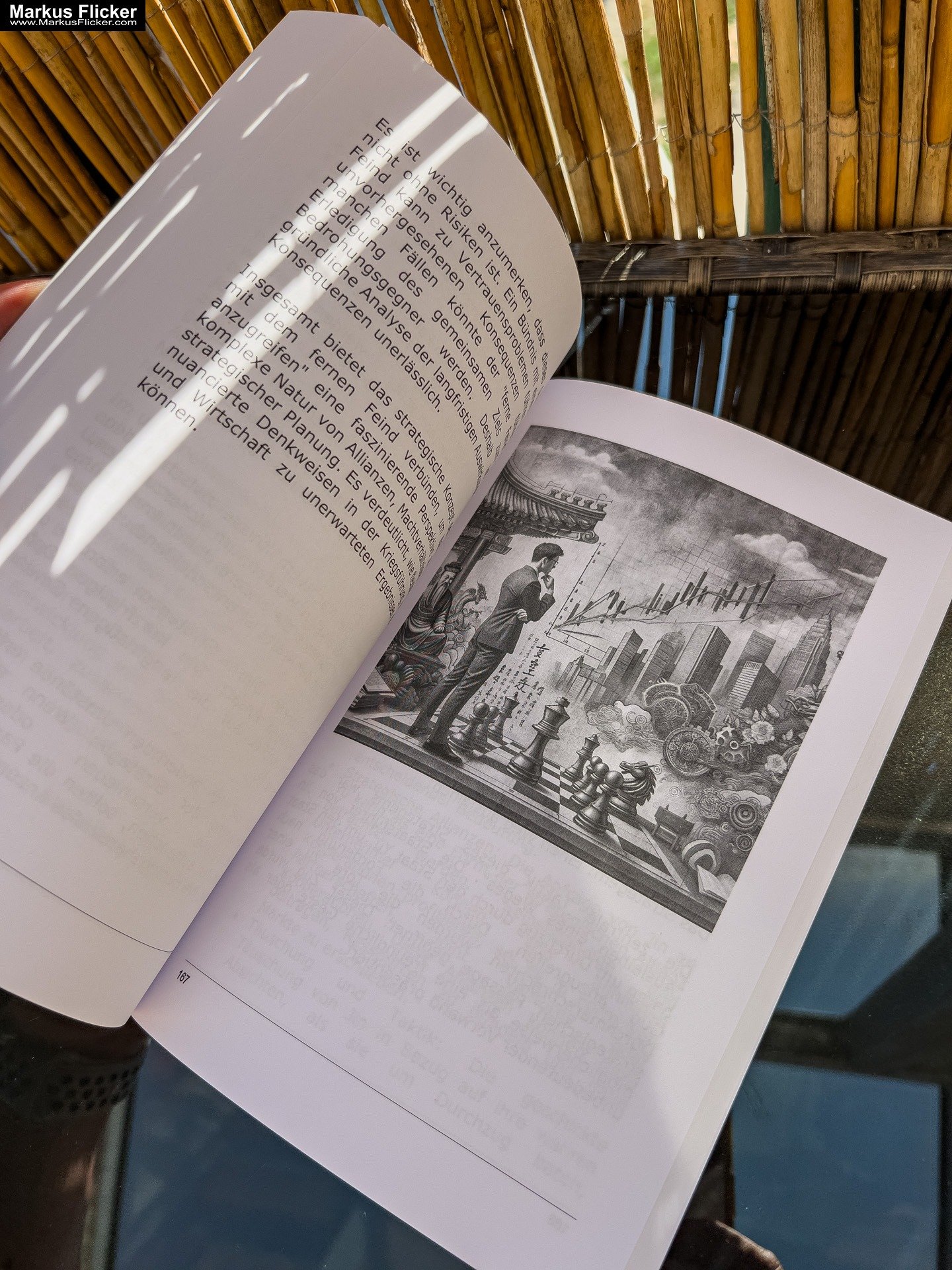 36 Strategeme für deinen Erfolg als Selbstständiger, Geschäftsführer und Unternehmer Chinesische Strategien für deinen Erfolg im Business und im Leben Buch von Markus Flicker #36strategeme