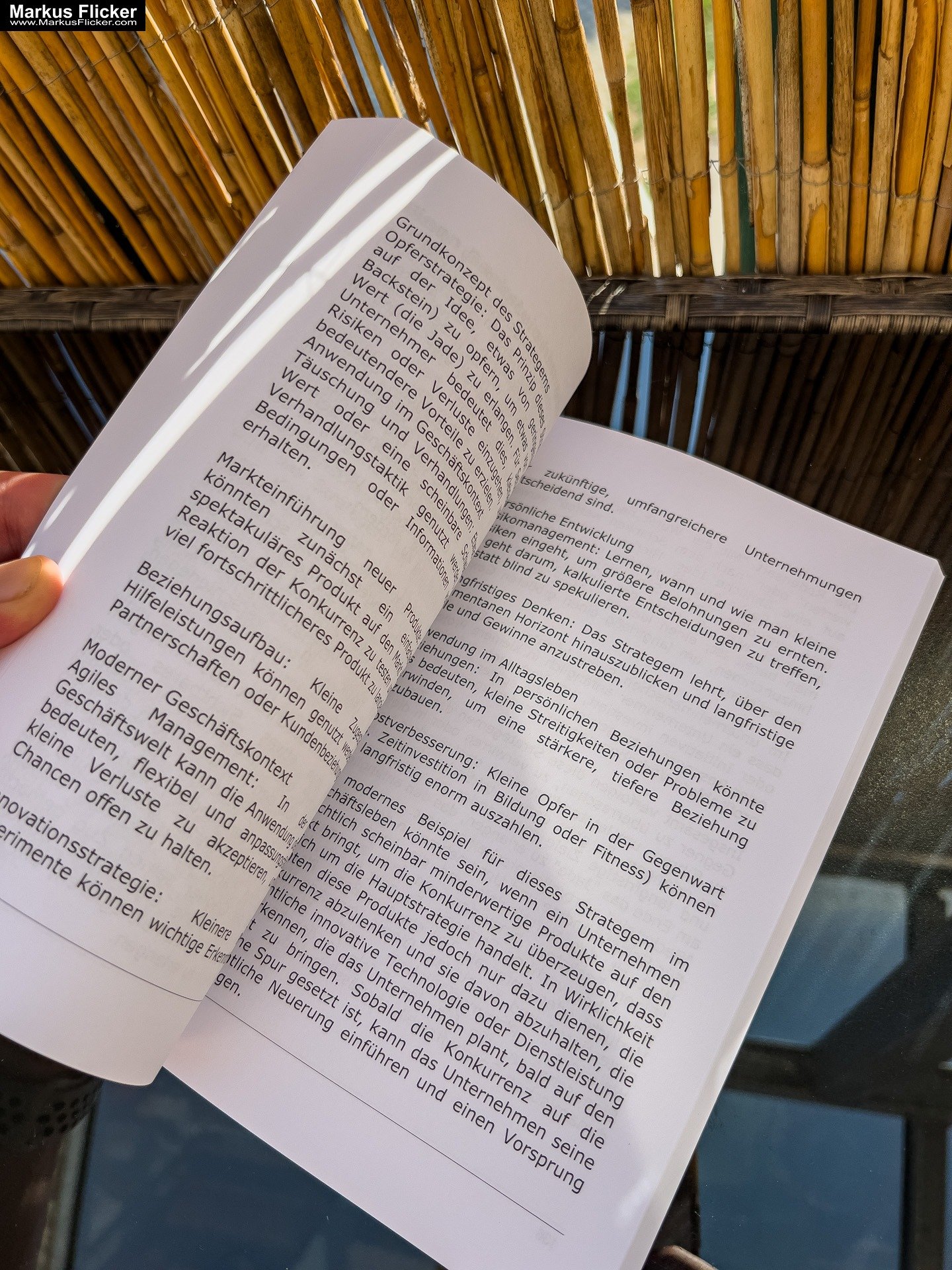 36 Strategeme für deinen Erfolg als Selbstständiger, Geschäftsführer und Unternehmer Chinesische Strategien für deinen Erfolg im Business und im Leben Buch von Markus Flicker #36strategeme