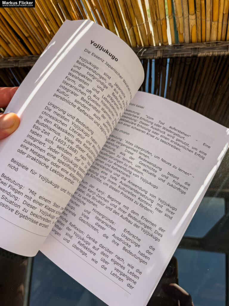 Ich schreibe jetzt mal schnell ein Buch... Mein erstes Buch... eine lange Reise bis zum Autor werden