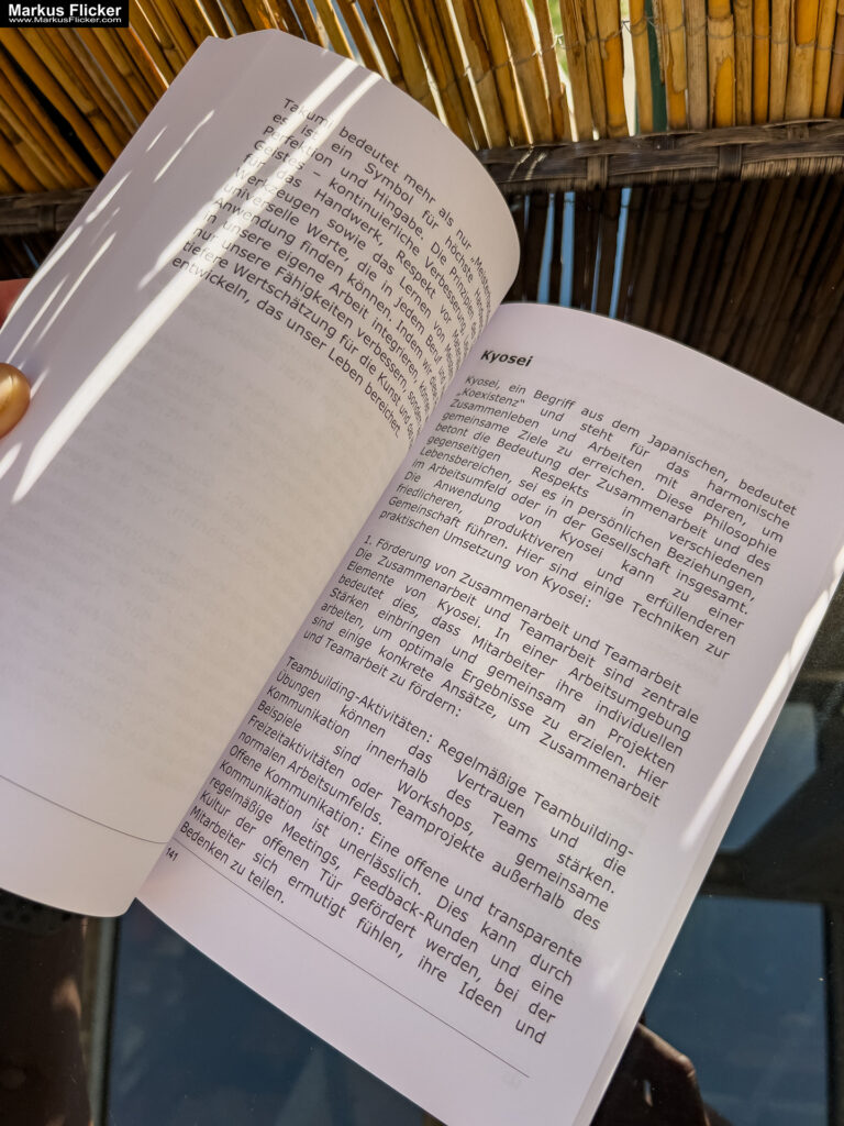 Ich schreibe jetzt mal schnell ein Buch... Mein erstes Buch... eine lange Reise bis zum Autor werden