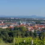 Maribor Marburg an der Drau Drava in Slowenien Roadtrip Städtereise #ifeelsLOVEnia #visitmaribor inkl. 37 Reisetipps