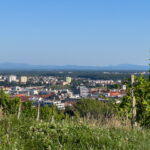 Maribor Marburg an der Drau Drava in Slowenien Roadtrip Städtereise #ifeelsLOVEnia #visitmaribor inkl. 37 Reisetipps