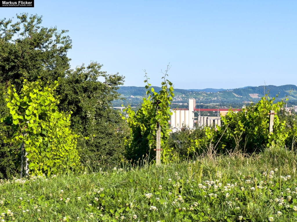 Arkade trije ribniki Maribor Mestni Park Slowenien #visitmaribor #visitslovenia Stadtpark