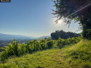 Maribor Marburg an der Drau Drava in Slowenien Roadtrip Städtereise #ifeelsLOVEnia #visitmaribor inkl. 37 Reisetipps