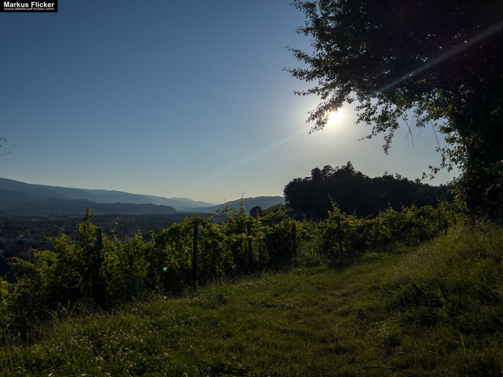 Maribor Marburg an der Drau Drava in Slowenien Roadtrip Städtereise #ifeelsLOVEnia #visitmaribor inkl. 37 Reisetipps