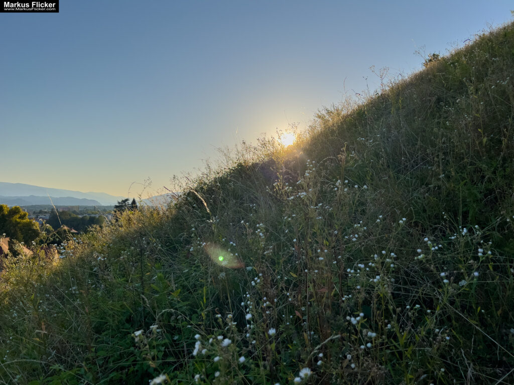 Maribor Marburg an der Drau Drava in Slowenien Roadtrip Städtereise #ifeelsLOVEnia #visitmaribor inkl. 37 Reisetipps