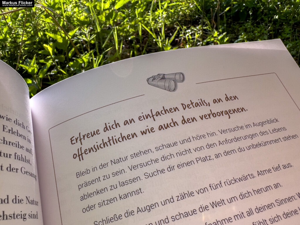 Die Kraft der Vogelbeobachtung: 63 Anleitungen zu kleinen Auszeiten im Alltag von Angelika Nelson und Holly Merker