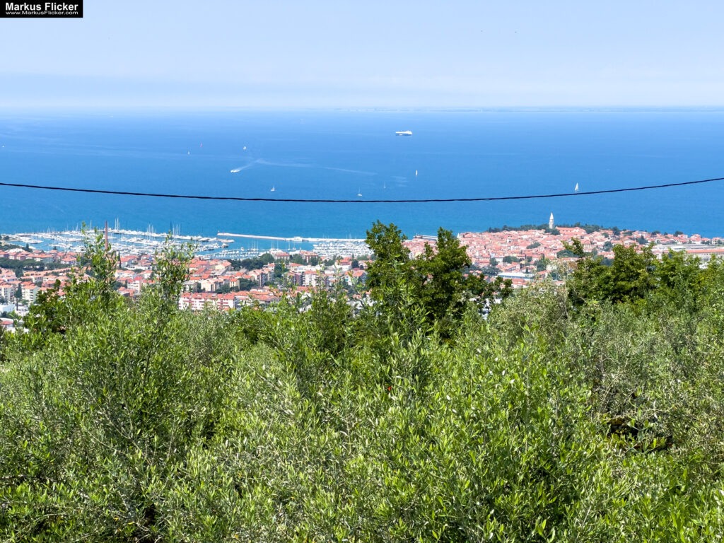 Koper Seehafenstadt in Slowenien an der Adria Istrien #visitslovenia #ifeelslovenia #visitkoper