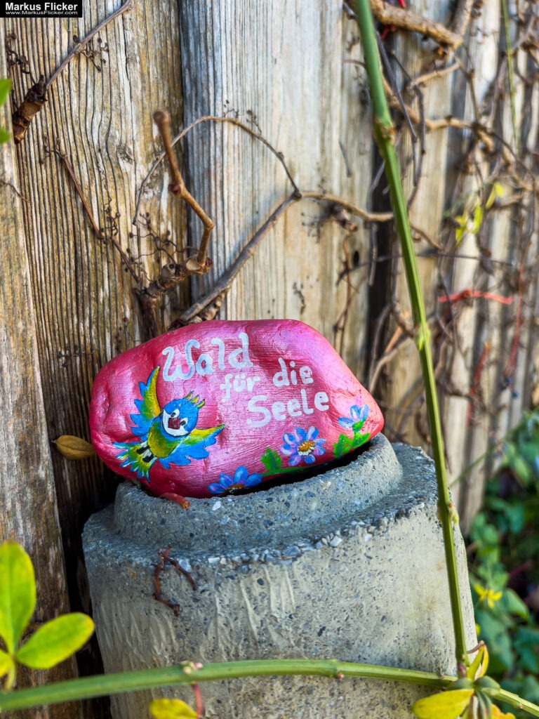 Kreativ Comic, Acryl, Skulpturen aus Ytong und Draht, Specksteintiere und Handyfotografie Kinder Workshop Kunstprogramm Malwerkstatt Martina Brandl Steiermark Österreich