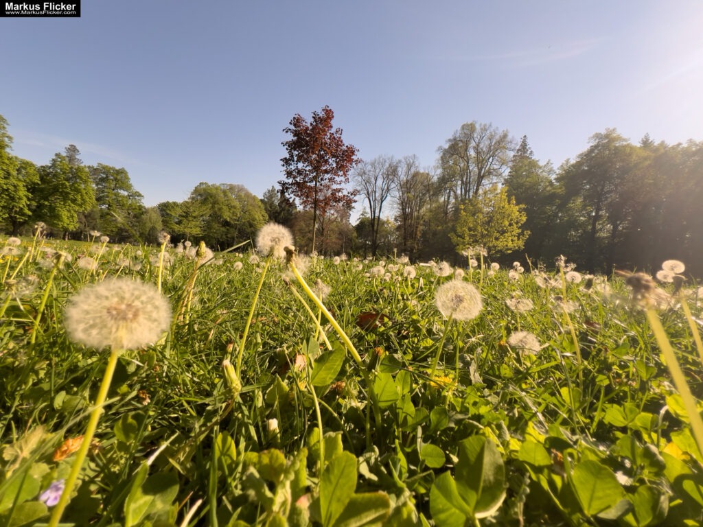 Arkade trije ribniki Maribor Mestni Park Slowenien #visitmaribor #visitslovenia Stadtpark inkl. 37 Reisetipps