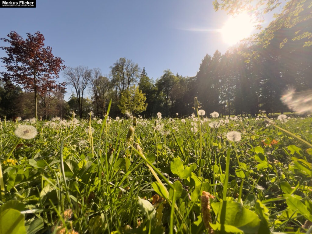 Arkade trije ribniki Maribor Mestni Park Slowenien #visitmaribor #visitslovenia Stadtpark inkl. 37 Reisetipps