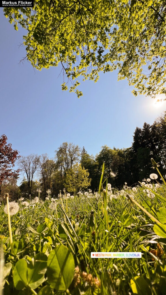 Arkade trije ribniki Maribor Mestni Park Slowenien #visitmaribor #visitslovenia Stadtpark inkl. 37 Reisetipps