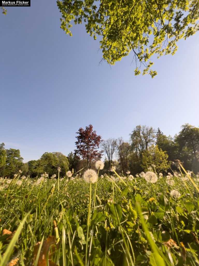 Arkade trije ribniki Maribor Mestni Park Slowenien #visitmaribor #visitslovenia Stadtpark inkl. 37 Reisetipps