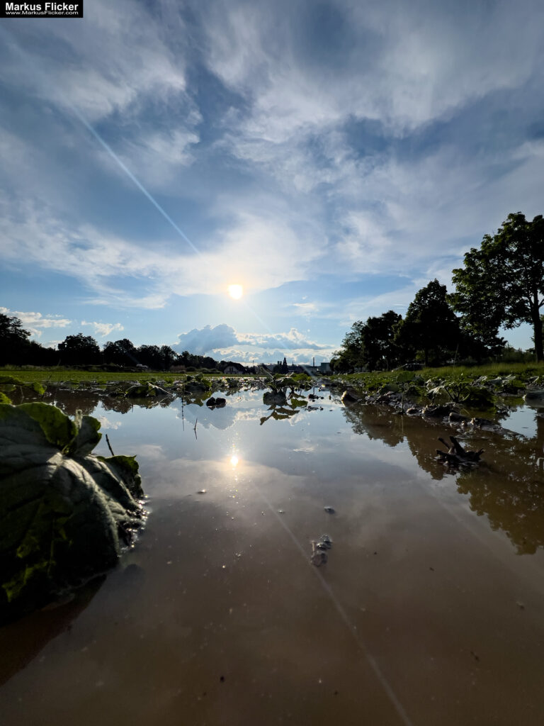 Streetfotografie im Sommer mit Kamera und Smartphone inkl. 10 Motive. Fotografieren und Filmen mit dem Smartphone: Bessere Fotos und Videos mit dem Handy für Freizeit, Hobby und Business