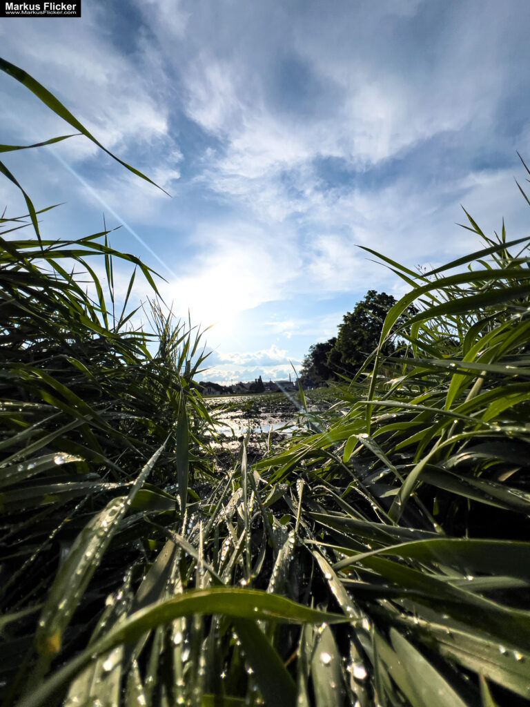 Streetfotografie im Sommer mit Kamera und Smartphone inkl. 10 Motive. Fotografieren und Filmen mit dem Smartphone: Bessere Fotos und Videos mit dem Handy für Freizeit, Hobby und Business