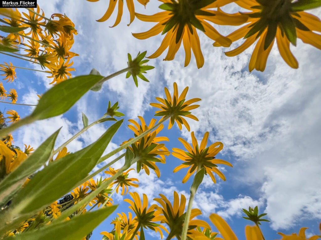 3 Tage Kreativ Comic, Acryl, Skulpturen aus Ytong und Draht, Specksteintiere und Handyfotografie Kinder Kunstprogramm Malwerkstatt Martina Brandl Steiermark Österreich