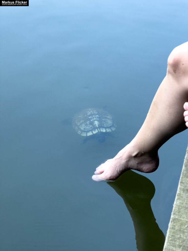 Roadtrip in Europa: Reisen mit dem Auto innerhalb der EU. Citytrips, Camping, Landschaft, Rundfahrt mit dem PKW, romantische Städte und Urlaubsinspiration. Buch von Markus Flicker Maribor Marburg an der Drau Drava in Slowenien Roadtrip Städtereise #ifeelsLOVEnia #visitmaribor inkl. 37 Reisetipps. Roadtrip in Europa. Reisen mit dem Auto innerhalb der EU. Citytrips, Camping, Landschaft, Rundfahrt mit dem PKW, romantische Städte und Urlaubsinspiration