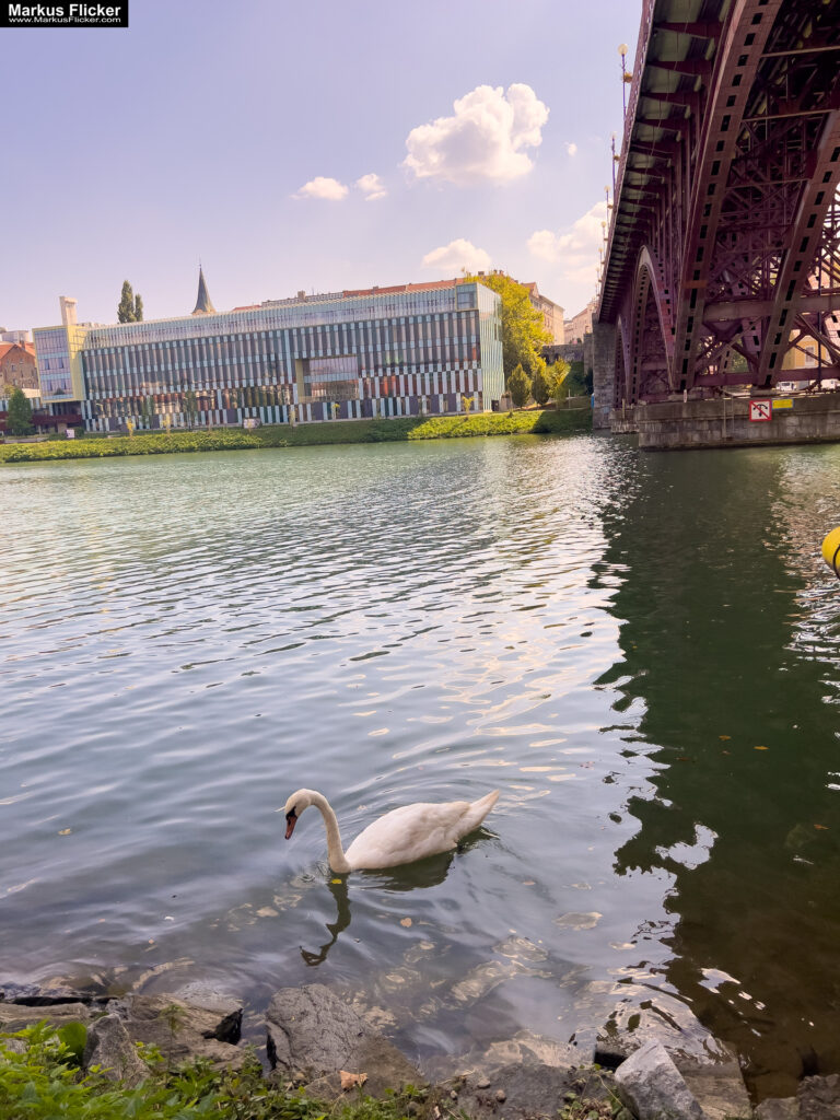Maribor Marburg an der Drau Drava in Slowenien Roadtrip Städtereise #ifeelsLOVEnia #visitmaribor inkl. 37 Reisetipps. Roadtrip in Europa. Reisen mit dem Auto innerhalb der EU. Citytrips, Camping, Landschaft, Rundfahrt mit dem PKW, romantische Städte und Urlaubsinspiration